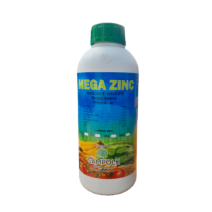 Mega Zinc
